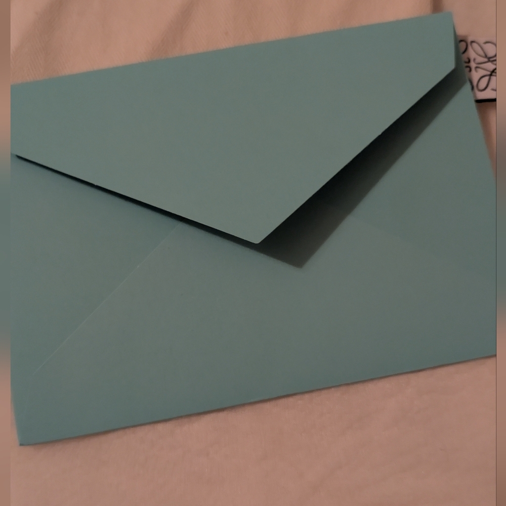 Loewe Bundle Dust Bag Suna Fujita Deep Sea Booklets, Ribbon And Envelope EUC - Picture 6 of 7